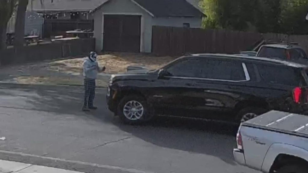 ICE responds after Woodland police dispute initial account of collision with pedestrian — CBS Bay Area (KPIX), Tarpon Springs Health news