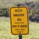 Pointers for Public Land Hunting — NewsDakota, Tarpon Springs Sports news