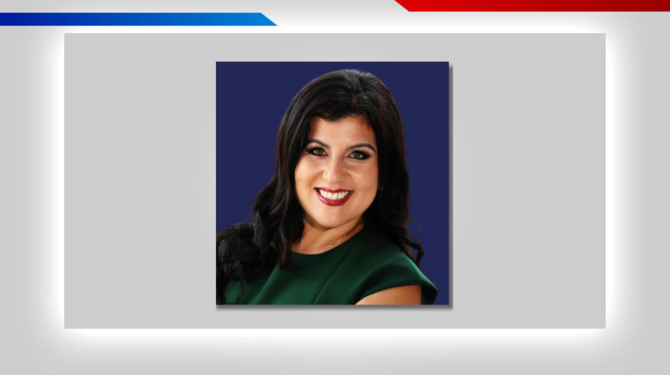 Meet the candidates: Questionnaire for Hillsborough County Commission D-1 — WFTS ABC Action News Tampa