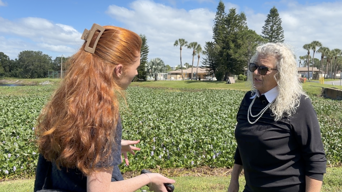 Residents fear future flooding as Largo canal maintenance dispute leaves neighborhood seeking answers — WFTS ABC Action News Tampa, Tarpon Springs Real Estate news