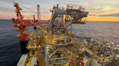 Rosebank: Life on the oil field at the centre of a political storm — BBC Business, Tarpon Springs Business news