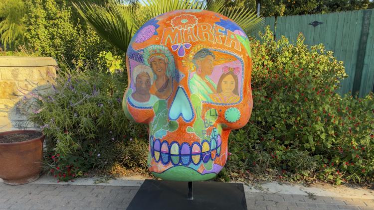 San Antonio Zoo adds 7 giant sugar skulls to Día de los Muertos celebration — KENS 5 (San Antonio), Tarpon Springs Sports news