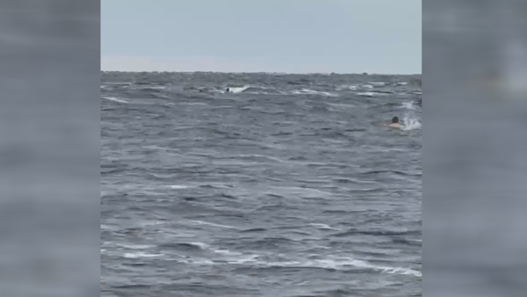 Off-duty JFRD firefighter rescues three from capsized boat at Big Talbot Island — First Coast News Local, Tarpon Springs Community news