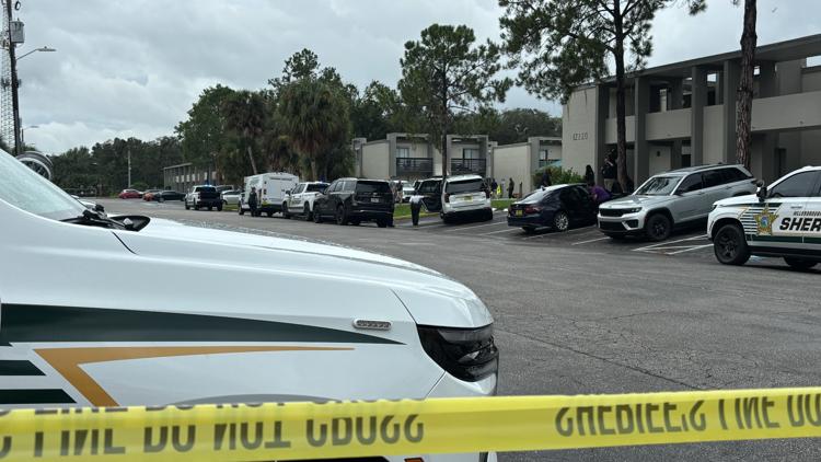 Hillsborough detectives investigating after child reports mother's death — WTSP 10 Tampa Bay, Tarpon Springs Community news