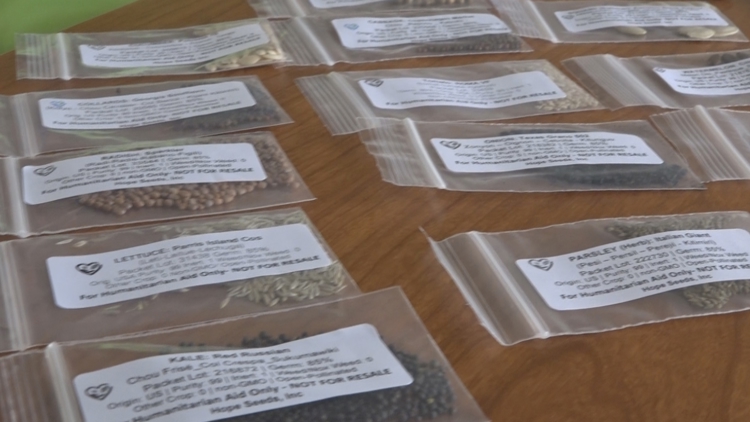 Bradenton nonprofit sends seeds to aid Jamaican families' recovery from Hurricane Melissa — Tarpon Springs Community news