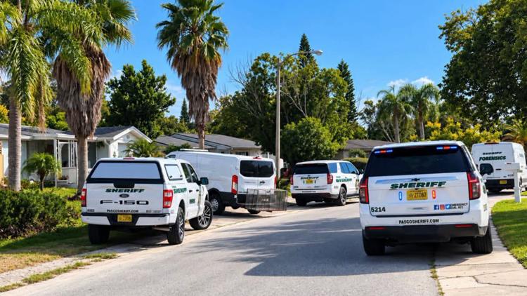 Woman hospitalized after being attacked by dog in Pasco County: deputies — WTSP 10 Tampa Bay, Tarpon Springs Health news