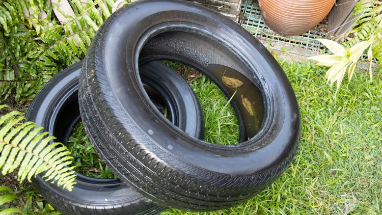 Hernando County waives tire disposal fees amid statewide dengue outbreak — Tarpon Springs Community news