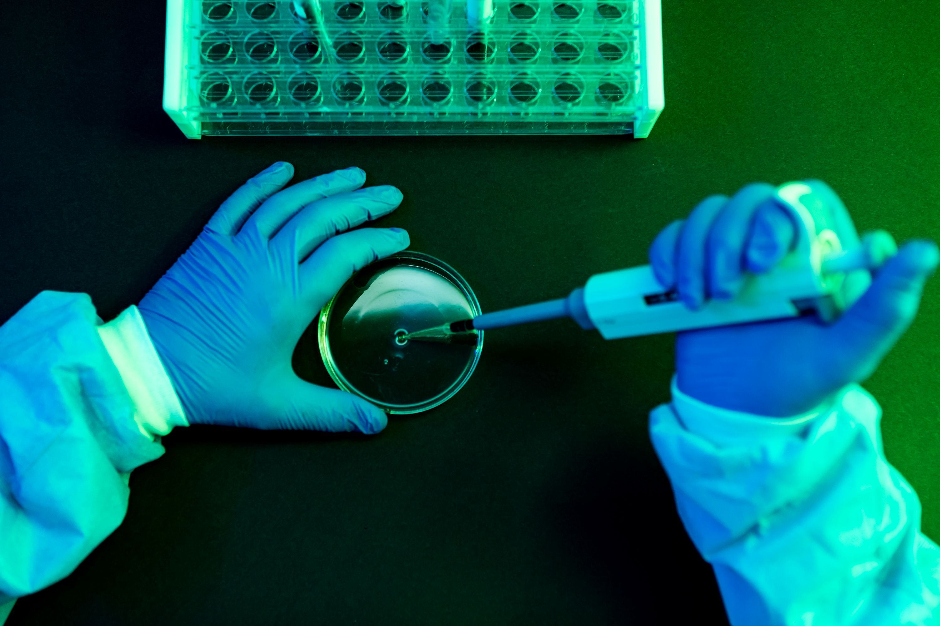 What to Know About Shamonda Virus Following the First Reported Human Infection — Wired, Tarpon Springs Technology news